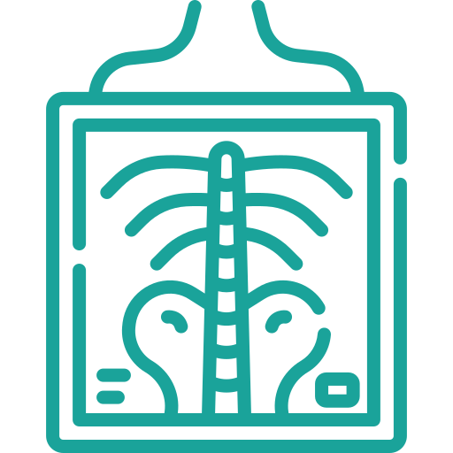 Digital X-Ray & Imaging